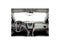 2011 Chevrolet Equinox LT 2LT
