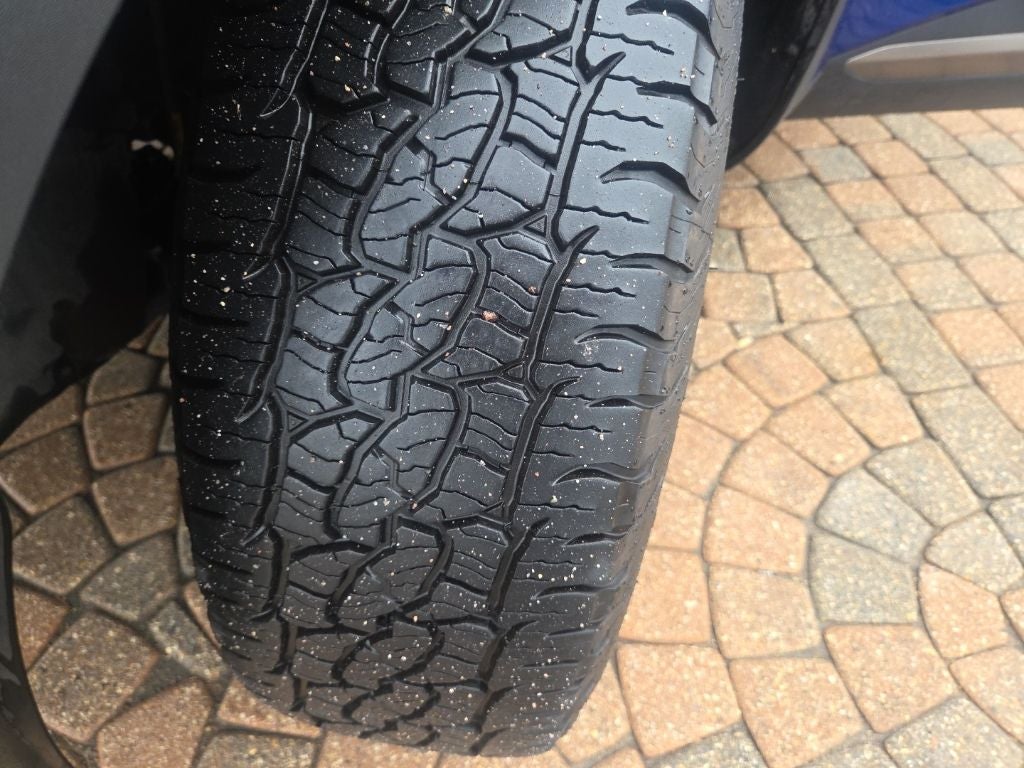 2024 Kia Sportage X-Pro