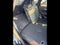 2024 Mazda Mazda CX-5 2.5 Turbo Premium